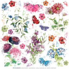 12x12 Rub-On Transfer Sheet - Spectrum Gardenia