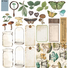 Nature Study - 12x12 Collection Pack