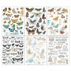 Nature Study: Wings - 6x8 Rub-On Transfer Set