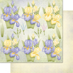 Iris Garden - 12x12 Paper Pad