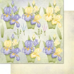 Iris Garden - 12x12 Paper Pad