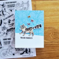 Simon Hurley Clear Stamps - Purrfect Cats