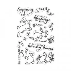 Hero Arts Clear Stamps - Spring Bunny