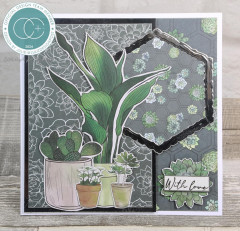 Botany Boutique - 6x6 Paper Pad