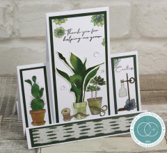 Clear Stamps - Botany Boutique - Cactus