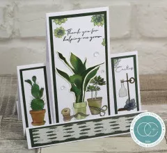 Clear Stamps - Botany Boutique - Cactus