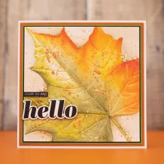 Embossing Folder - Thankful & Blessed - Fallen Leaf