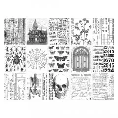 Tim Holtz - Idea-Ology - Collage Paper - Halloween 2024