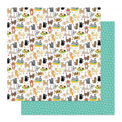 PhotoPlay - Cat Nip - 12x12 Collection Pack