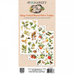 49 And Market - Vintage Orchard - Botanical - 6x12 Rub-On Transfer