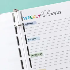 We R Makers - Universal Cinch - Gold & White