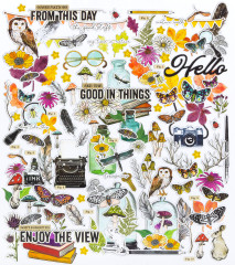 Curiosities In Willow Grove - Ephemera Set - Icons And Titles