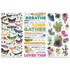 49 And Market - 6x12 Rub-On Transfer - Curiosities In Willow Grove - Essentials