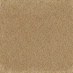 Curiosities In Willow Grove - Starters - 12x12 Collection Pack