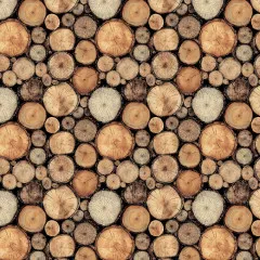 Timber And Tweed - 12x12 Collection Pack