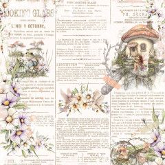 The Looking Glass - 12x12 Collection Pack