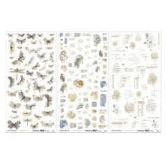 49 And Market - 6x12 Rub-On Transfer - Faded Memory Lane - Blendable