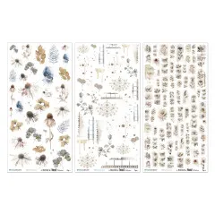 49 And Market - 6x12 Rub-On Transfer - Faded Memory Lane - Essential