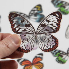 Idea-Ology Transparent Acetate Wings - bunt