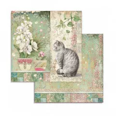 Orchids and Cats 8x8 Paper Pack