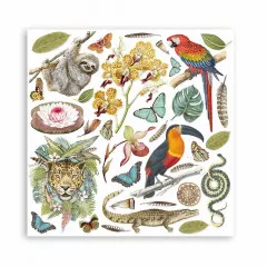 Amazonia 8x8 Paper Pack