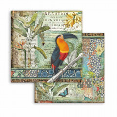 Amazonia 8x8 Paper Pack