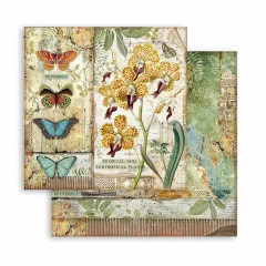 Amazonia 8x8 Paper Pack