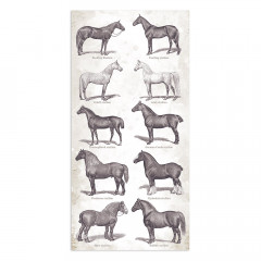 Romantic Horses Collectables 6x12 Paper Pack