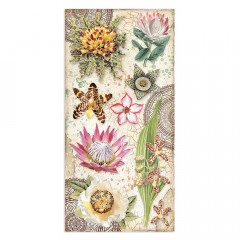 Savana Collectables 6x12 Paper Pack