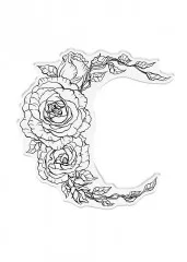 Clear Stamp & Cutting Die - Sheena Douglass - Bella Luna - Floral Crescent