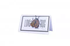 Thinlits Die Set by Tim Holtz - Funky Insects