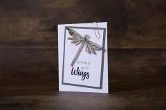 Thinlits Die Set by Tim Holtz - Funky Insects