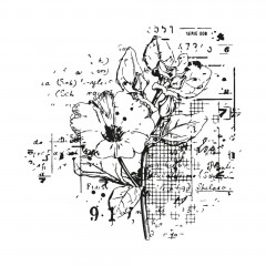 Framelits Dies with Stamp by 49 and Market - Floral Mix Cluster