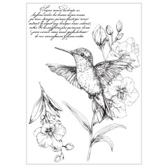 Schwarzweiß-Stempelmotiv eines Kolibris an Orchideenblüten mit französischem Schriftzug