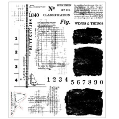 Stempelbogen mit Vintage-Naturkunde-Texten, Zahlen und Tintenflächen zum Motiv „Wings & Things".