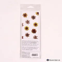 Clear Stamps für Faltblume Nr. 51 M