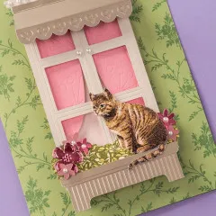 Cricut Fine Debossing and QuickSwap Housing