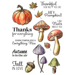 Vaessen Creative - Clear Stamps - Hey Pumpkin