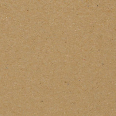 Tonic Studios Craft Perfect - Brown Kraft Card