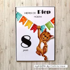 Vaessen Creative - Clear Stamps - Odey's Birthday Party - Zahlen & Satzzeichen