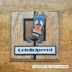Vaessen Creative - Embossing Folder - Wood on the Farm by Carla Creates