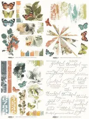 Ansicht aller 8 Bögen des Amber Ledgers Rub-On Transfer-Sets mit Botanicals und Schmetterlingen