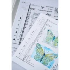 Zwei bemalte Papierkarten mit grünblauen Schmetterlingen und Vintage-Schrift Butterflies 1840