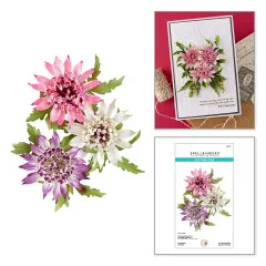 Collage aus Blüten, fertiger Karte und Verpackung.