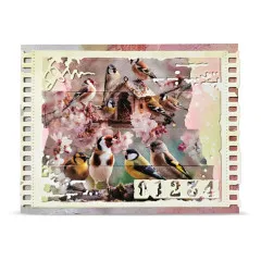 Karte mit Filmstreifen-Rahmen und Zahlenreihe „01234” um das Vogelhäuschen-Motiv mit Stieglitzen