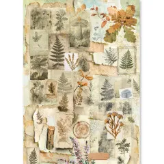 Reispapier-Bogen mit botanischer Herbarium-Collage aus gepressten Blättern und Farnen