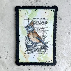 Briefmarkenartige Karte mit Vogeldarstellung auf pastellgrünem Hintergrund