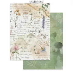 Cardstock-Seiten mit handschriftlichen Texten, farbigen Blütenillustrationen und botanischen Elementen im Vintage-Stil