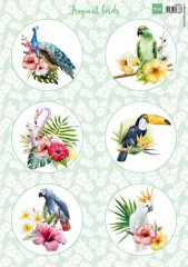 3D Schneidebogen - Tropical Birds