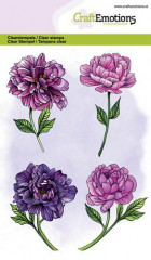 Clear Stamps - Pfingstrose 4 Blüten